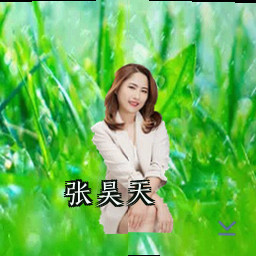 张昊天